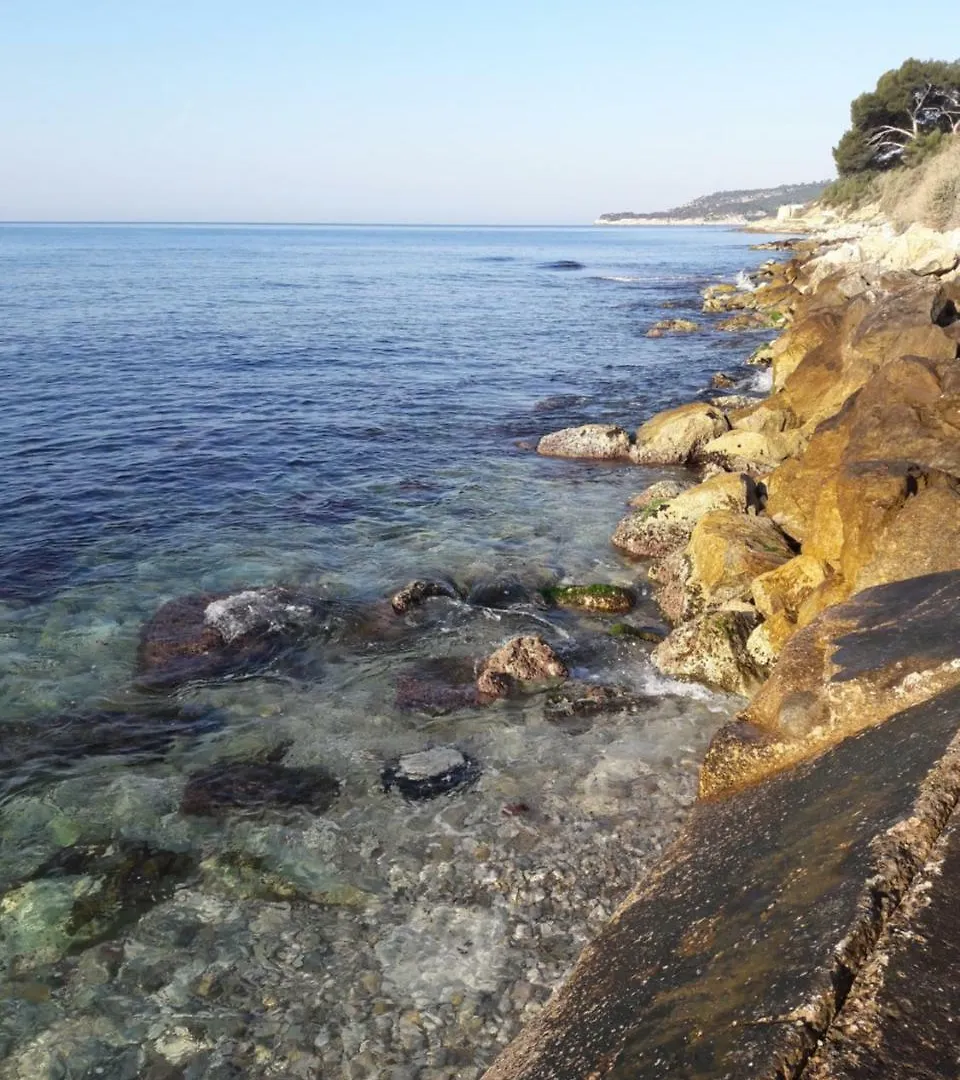 Le Mimosa Appartement Cassis